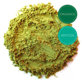 matcha culinario orgánico